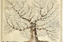 V září se opět sešli v Petrovicích rody Rybníčků a Jechů, které čekal bohatý program V září se opět sešli v Petrovicích rody Rybníčků a Jechů, které čekal bohatý program